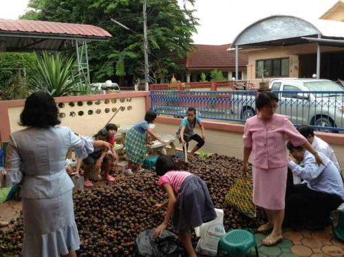 La Thaïlande en images