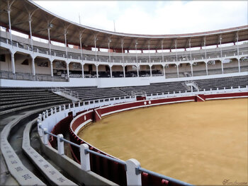 Photos des Arènes de Dax (Landes)