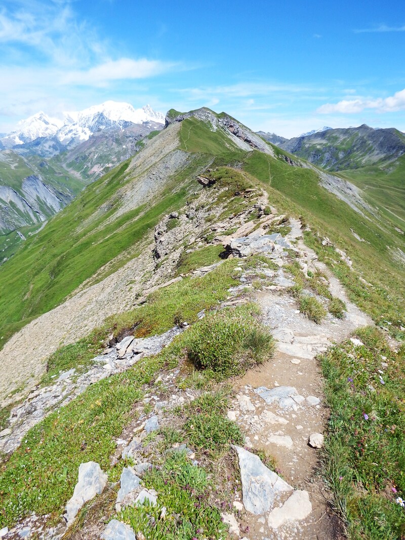 Sur les crêtes