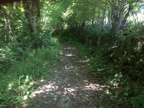 Le long du canal (Saint Léger les Mélèzes - Champsaur)