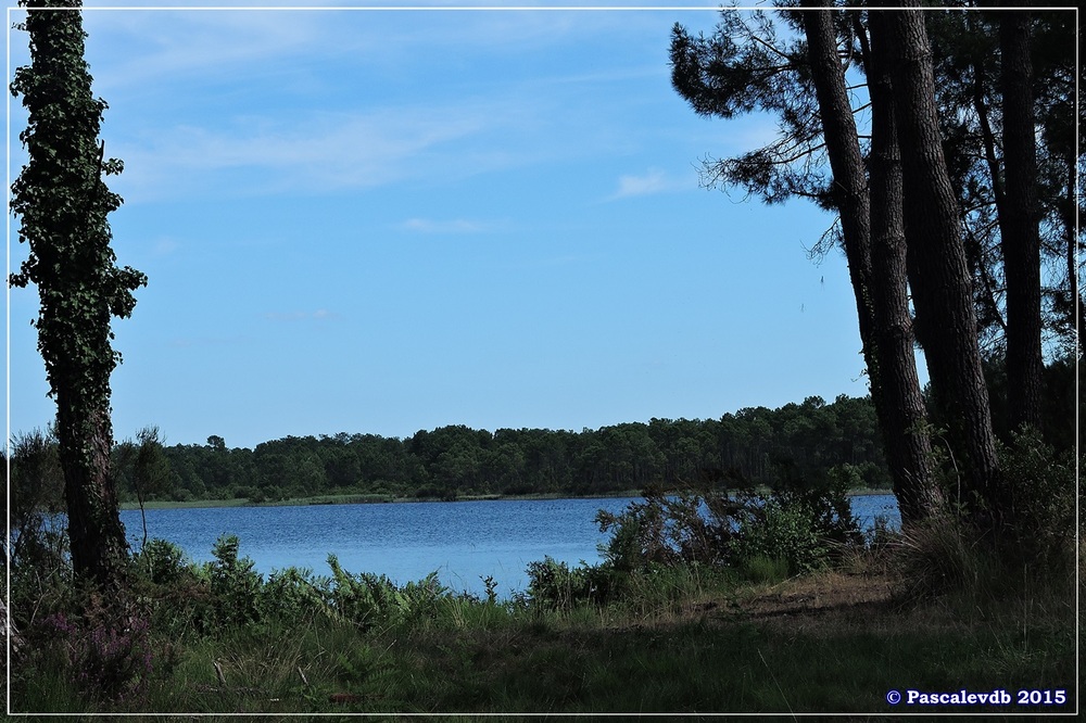 Nouvelle balade au lac du Bousquey - Juillet 2015 - 2/7