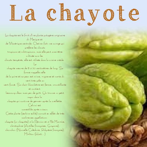 Dessin et peinture - vidéo 4107 : Comment peindre chayote et oignon 1/2 ? - aquarelle.