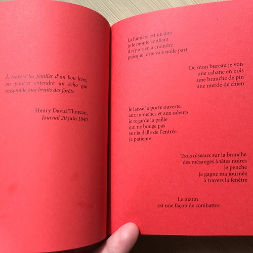 "Carné poétique" une nouvelle collection en souscription