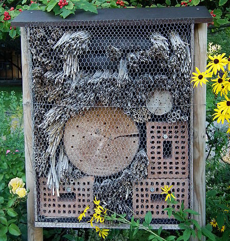 J'installe un hôtel à insectes dans mon jardin