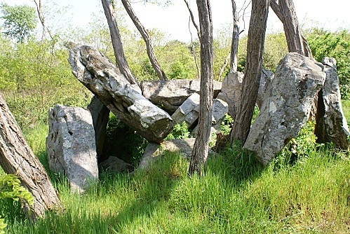J-dolmen Varennes de Cumeray03