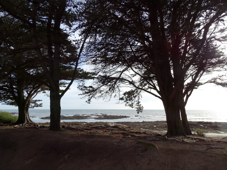 Sur le sentier côtier de Carnac à la Trinité - Les marais salants de Trévillen