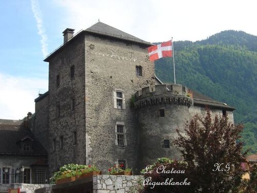 Pèle-mèle de photos prisent en Savoie en 2010 et 2011