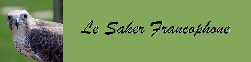 saker_bandeau