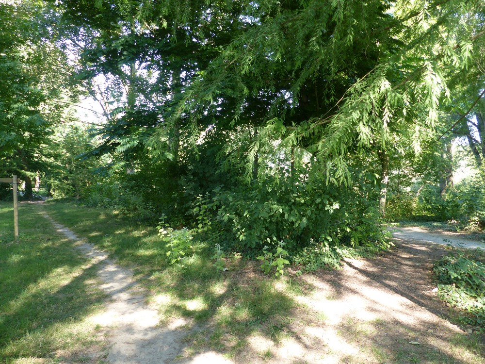 De l'ombre, des arbres, de l'air 