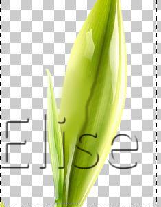 57. Effacer un détail sur un calque