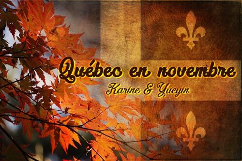 Québec en novembre 2018