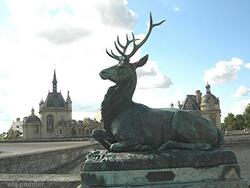                                SUITE  & FIN  du  *** CHATEAU de CHANTILLY****