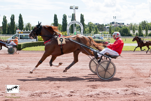 Prix Dame de Carreau