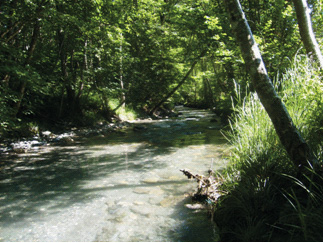 L'ARLY ET SES CELEBRES GORGES