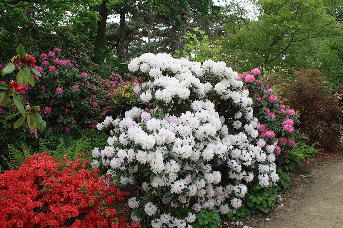 Nouvelle promenade au parc floral