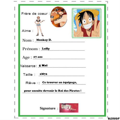 Carte d'identité de Luffy !