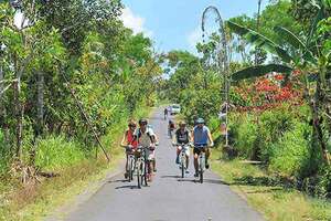 walking bicycle india bicycle palm city 