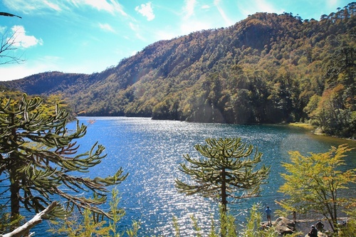 Pucon: Parque Nacional Huerquehue