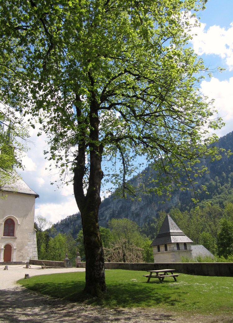 Le monastère de la Grande Chartreuse..