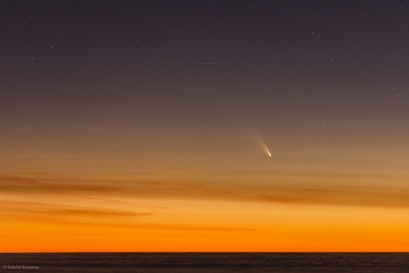 La comète Pan-STARRS
