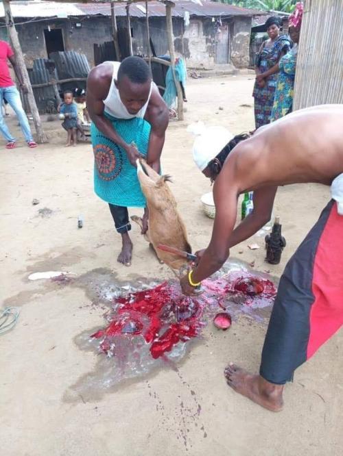 TRAVAIL DE MAGIE POUR LE COMMERCE ET LA PROSPRIT DU MATRE MARABOUT SA MAJEST TEGBESSOU