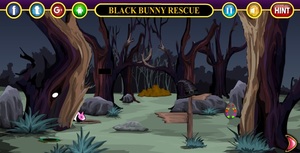 Jouer à Black bunny rescue