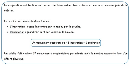 La respiration