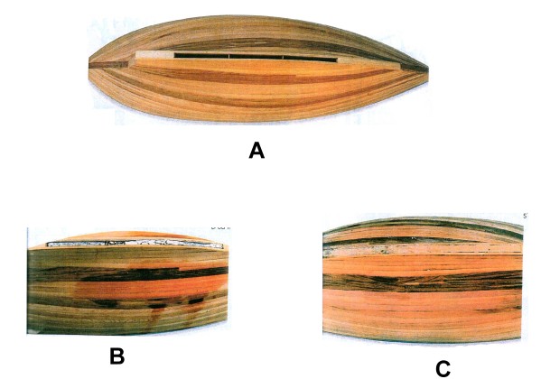 Schéma plomb suite