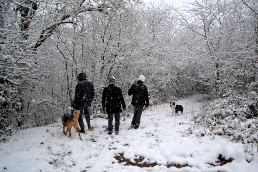 Beaucoup de neige jeudi dernier et jolie balade avec mes amis et ma filleule.Bon we à tous