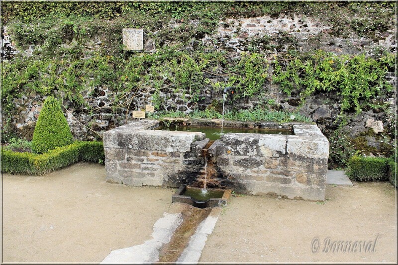 Abbaye de Daoulas Finistère bassin dans le jardin des plantes médicinales