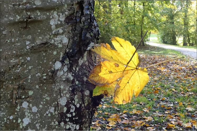 promenade photographique de novembre 2022