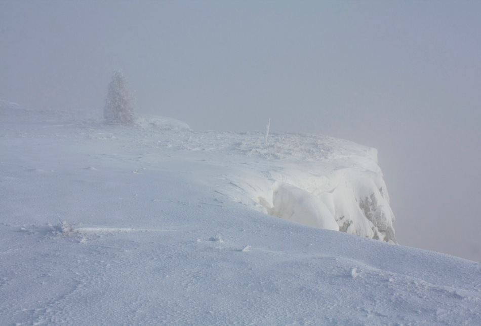 Rando au sommet du Mont d'Or, 15