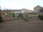 Plantation des buis de bordure