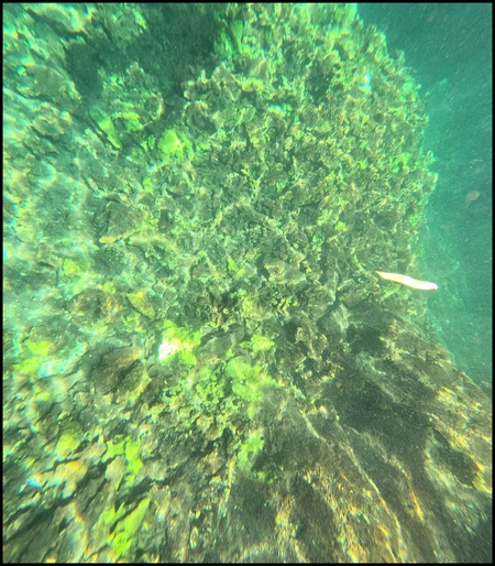 Maaluma Cave, Zanzibar, octobre 2023