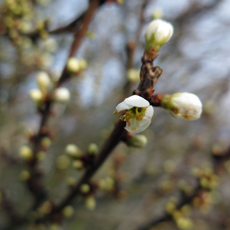 photos de ma semaine du 12 au 18 février 2016