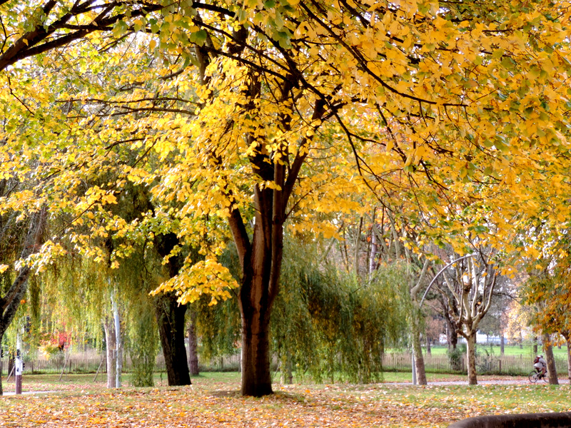 Le Parc Paysager en habits d'automne