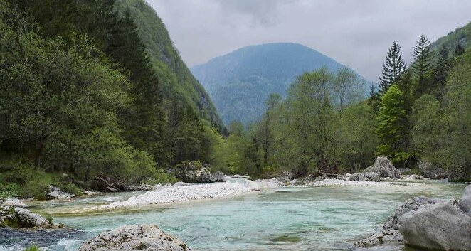 Le parlement slovène inscrit jeudi droit l’eau potable Constitution