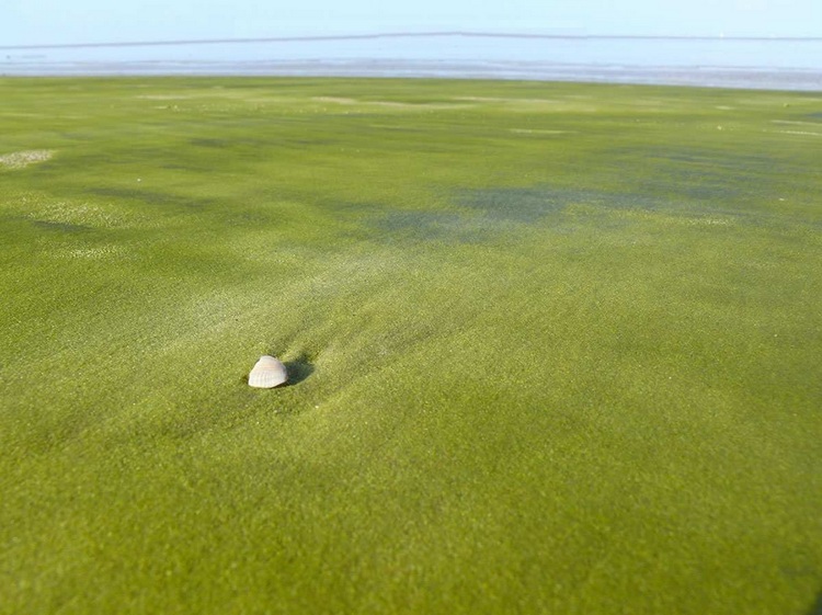 Images du monde : Plages extraordinaires