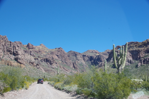 Jour 13 - Organ Pipe Cactus National Monument Arizona