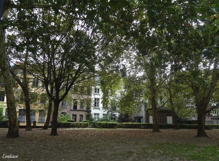 NOTRE DAME DE LA TREILLE - LILLE (3) - Le Jardin et le parvis - Place Gilleson