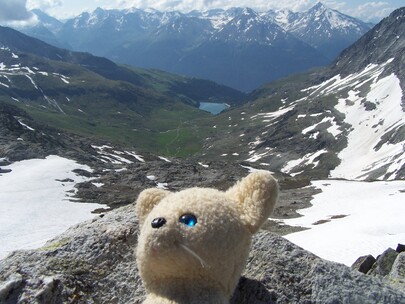 mascotte en montagne