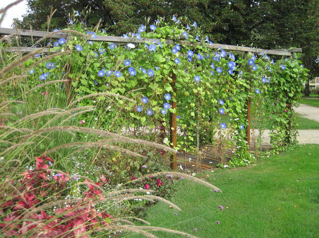 Le jardin public de Mimizan le 1er octobre 2013