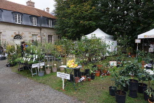 Une belle édition d'automne à St Jean de B