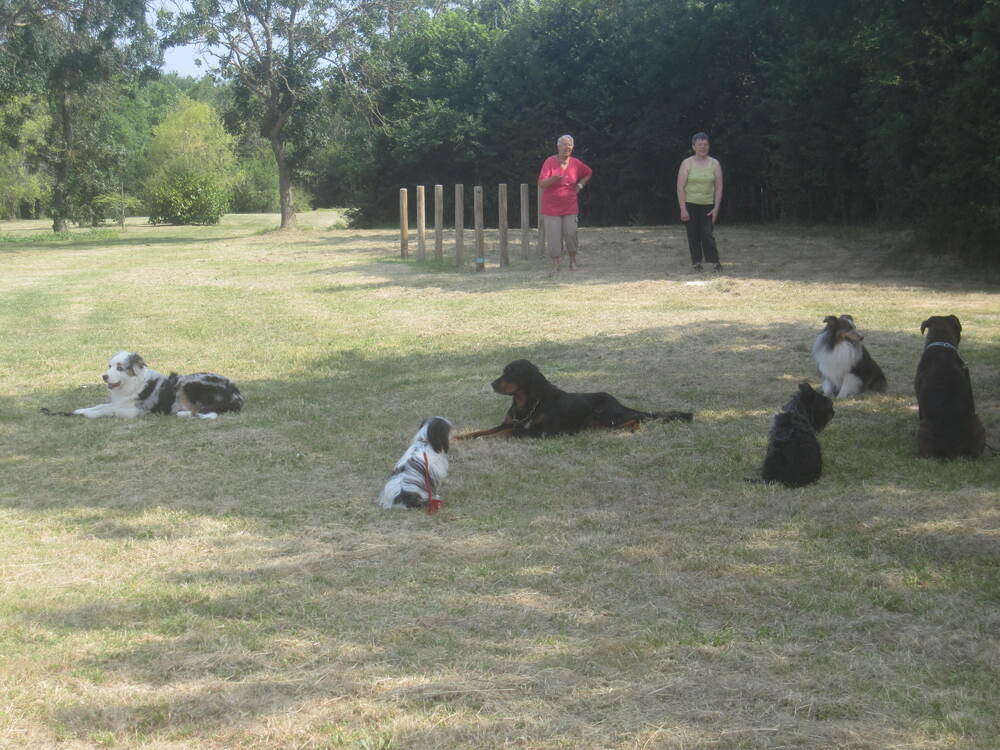 Entraînement du dimanche 14 juillet