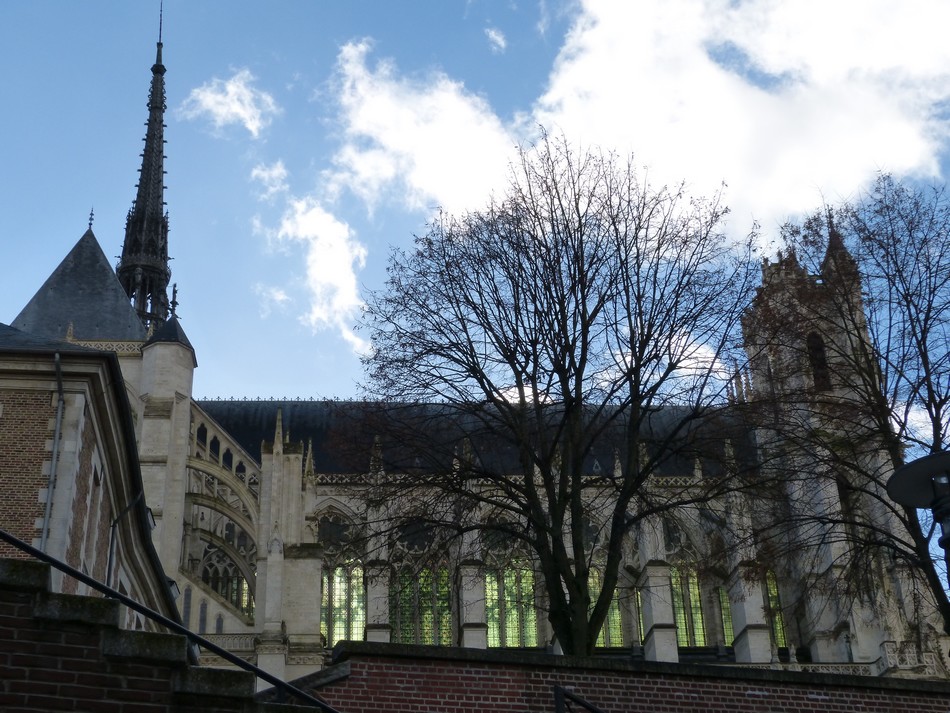 Sélection de la Cathédrale, l'hiver 