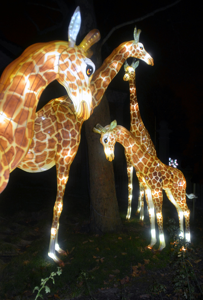 Une exposition extraordinaire au Jardin des Plantes