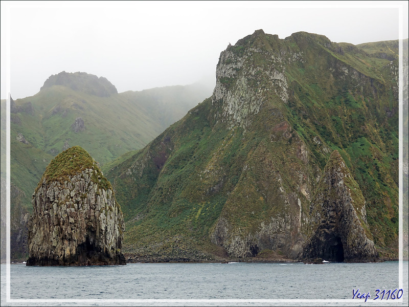 Panoramas sur la côte nord de Gough Island vue du Lyrial - Tristan da Cunha