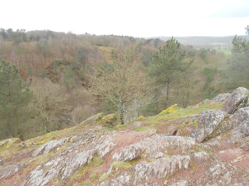 sortie Brocéliande groupe de Florentin matin