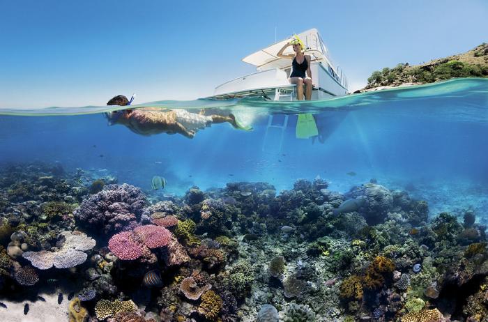 Reef_Snorkelling_on_the_Great_Barrier_Reef