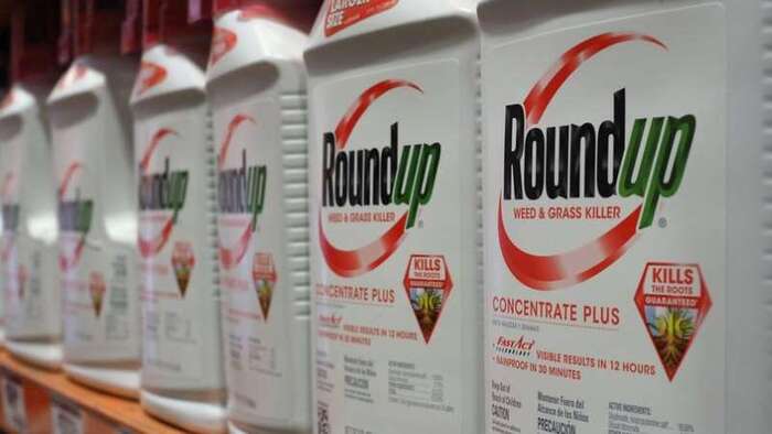 Le premier procès contre le Roundup s'ouvre aux États-Unis 